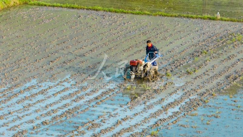玉米收割机配件规格型号：揭秘高效作业背后的关键**